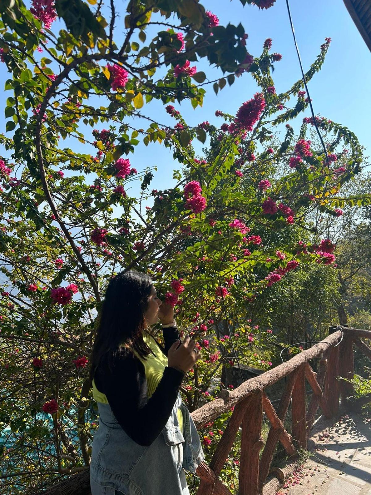 רישיקש Astraal Resorts And Spa מראה חיצוני תמונה